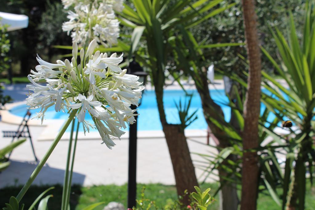 איספיקה Villa Orchidea Luxury B&B מראה חיצוני תמונה